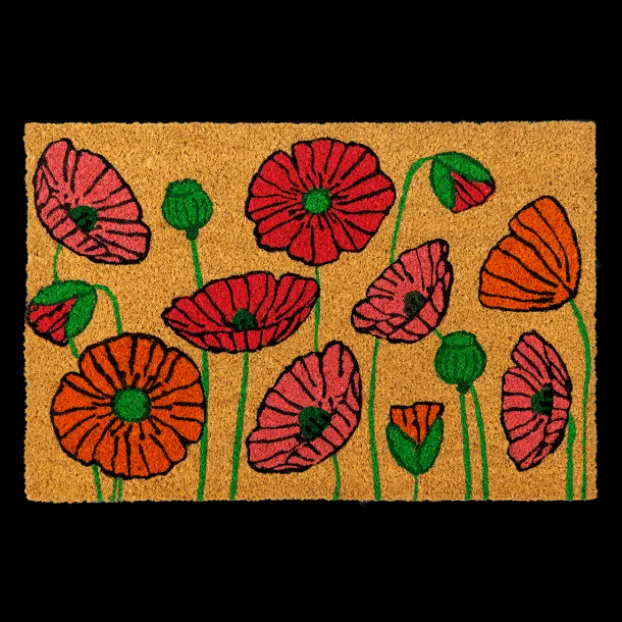 Paillasson rectangulaire 60x40cm - Dancefleur