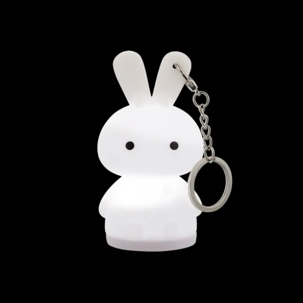 Porte cles veilleuse - Pokylight