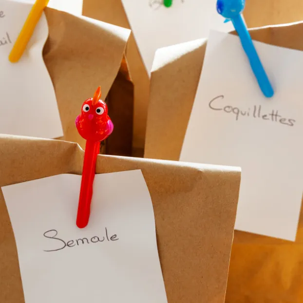 Set de 4 pinces a sachet - Perruclip